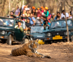 Tadoba Weekend Tour - 1Night / 2Days